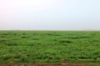 Departamento San Cristobal, Provincia de Santa Fe.