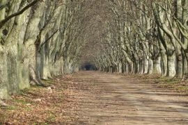 En el Partido de General Paz, Sobre la Ruta Nº 215 que une las ciudades de Monte y Brandsen.