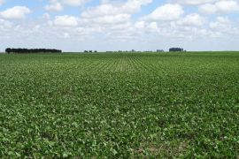 En el Partido de LAPRIDA, Provincia de Buenos Aires. Sobre la Ruta Nº 86, a 15 km de Laprida, a 125 km de Olavarria, a 155 km de Daireaux, a 290 km de Saladillo y a 474 km de la Capital Federal.