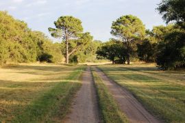 Partido Saavedra, Provincia de Buenos Aires.
