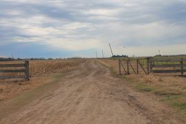 En el partido de Salto, provincia de BUenos Aires, a 200 m del asfalto.