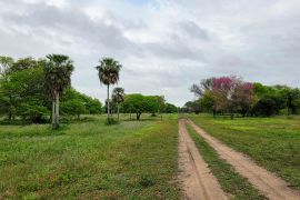 En en departamento de Presidencia de la Plaza, provincia de Chaco cercano a ruta asfaltada, a 17 km de Colonias Unidas, a 25 km de Presidencia de la Plaza y a 120 km de la ciudad de Resistencia.