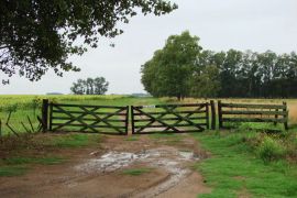 En el Partido de Las Flores, Provincia de Buenos Aires.