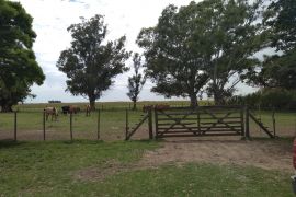 Sobre pavimento, campo ganadero para 400/500 vacas