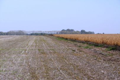 Entre San Antonio de Areco y Capilla del Señor, Sobre Ruta.