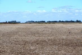 En el Partido de 25 de Mayo, Provincia de Buenos Aires.