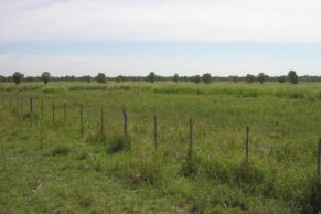 En el Departamento de Pilcomayo, Provincia de Formosa