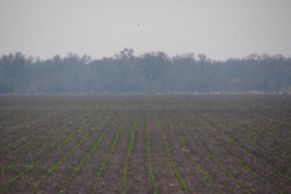 Provincia de Santa Fe, Departamento de General Obligado