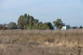 Partido de Cañuelas, provincia de Buenos Aires.