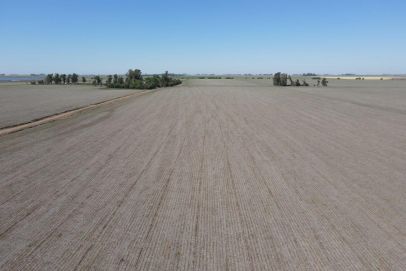 En el Departamento de General Lopez, Provincia de Santa Fe. Cercano a Sancti Spiritu.