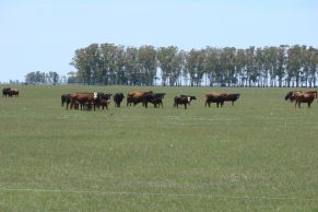 Dolores, provincia de Buenos Aires