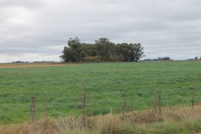 En el partido de Saladilo, provincia de Buenos Aires.