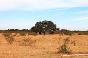 En el departamento de San Cristobal, provincia de Santa Fe. Sobre ruta, inmejorable ubicacion.