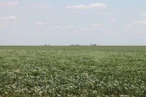 En el Departamento de Chapaleufu, Provincia de La Pampa. A 2.000 metros de la Ruta Nº 1, a 65 km de General Villegas, a 420 km de Rosario y a 530 km de la Capital Federal