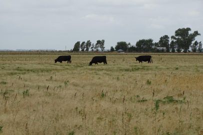 En el Partido de GENERAL BELGRANO, Provincia de Buenos Aires. Cercano a la Ruta Nº3.