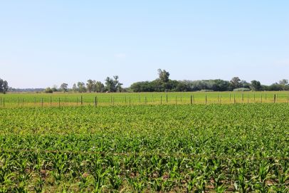 En el Partido de MERCEDES, Provincia de Buenos Aires, a 1600 m de la ruta nacional nº 7 (autovía), a 13 km de la localidad de San Andres de Giles, a 18 km de la ciudad de Mercedes, a 23 km de Lujan y a 97 km de Capital Federal.
