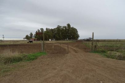 En el Partido de GONZALEZ CHAVES, Provincia de Buenos Aires. A 11 km de Mariano Roldán, a 30 km de las rutas Provinciales 86 y 75, por muy buenos caminos entoscados, a 42 Km. de la ciudad de  Laprida, a 64 km de Benito Juárez y a 490 Km. de la Capital Federal.