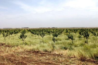 En el Partido de Daireaux, Provincia de Buenos Aires. Cercano a la estación Luro, a 7 Km. de la ruta nº 65, a 37 Km. de la localidad de Daireaux y a 443 Km. de Capital Federal.
