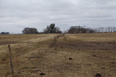 En el Partido de Bragado, Provincia de Buenos Aires, sobre la ruta Nº 5, km 223, a 18 km de la ciudad de Bragado, y a 225 Km. de Capital Federal.