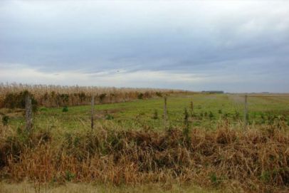 En el Partido de Bolivar, Provincia de Buenos Aires, a 13 Km de la Ruta Provincial Nº
65, a 11 km de Del Valle, 17 km de Hale, a 70 km de la ciudad de 9 de Julio, y a 265
Km. de la ciudad de Buenos Aires.