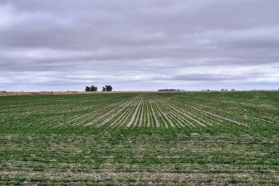 En el Departamento de Roque Saenz Peña, Provincia de Cordoba. Sobre la Ruta N 7.