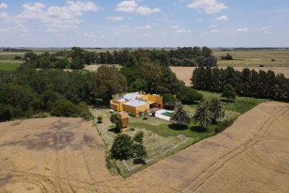 En el Partido de Brandsen, Provincia de Buenos Aires. Sobre camino asfaltado.