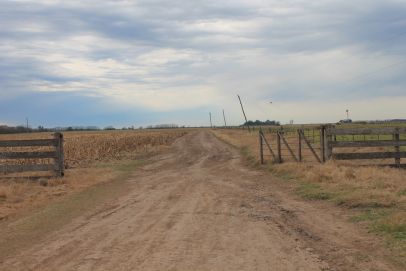 En el partido de Salto, provincia de BUenos Aires, a 200 m del asfalto.