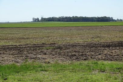 Coronel Pringles/Lamadrid. Sobre ruta Pavimentada