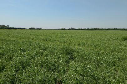 En el Partido de Baradero, Provincia de Buenos Aires. 
Sobre la autopista N9.