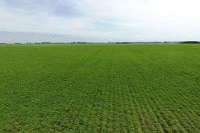 En el Partido de San Pedro, Provincia de Buenos Aires.