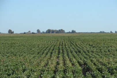 En el partido de Gral. Belgrano, provincia de Buenos Aires.