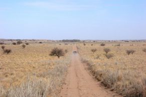 En el Departamento de General Pedernera, Provincia de San Luis. A 3.000 mts. de la Ruta Nº 11, a 49 km de la Ciudad de Villa Mercedes, a 230 km de la ciudad de Rio IV y a 850 km de la Capital Federal.