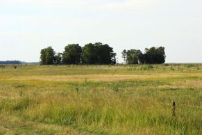 En el Partido de Olavarria, Provincia de Buenos Aires. Cercano a la localidad de Espigas.