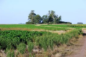 En el Partido de Saladillo, Provincia de Buenos Aires.