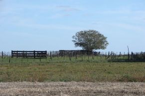 En el Partido de 25 de Mayo, Provincia de Buenos Aires