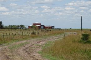En el Partido de Saladillo, Provincia de Buenos Aires.
