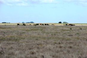 En el Partido de General Lavalle, Provincia de Buenos Aires. A 40 km de la Ciudad de General Madariaga.