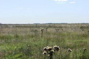 En el Partido de General Lamadrid, Provincia de Buenos Aires.