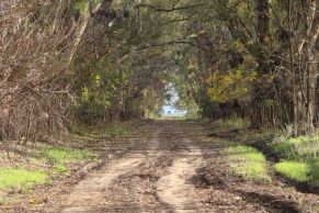 En el Partido de San Pedro, Provincia de Buenos Aires. Cercano a la Localidad de Santa Lucia.