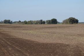 En el Partido de Lujan, Provincia de Buenos Aires.