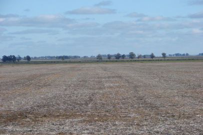 En el Partido de Necochea, Provincia de Buenos Aires. Cercano a la Estación Claraz.