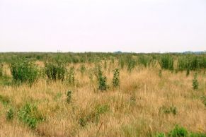 En el Partido de Magdalena, Provincia de Buenos Aires.