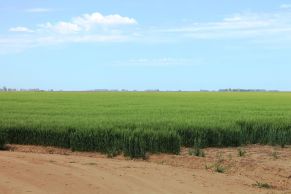 En el Partido de Carlos Tejedor, Provincia de Buenos Aires.