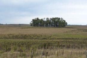 En el Departamento de Lavalleja, República Oriental del Uruguay.
