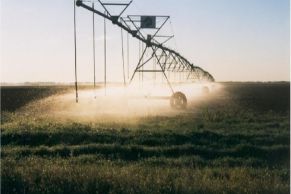 En el Psrtido de Patagones, Provincia de Buenos Aires. Cercano a la Localidad de Pradere.